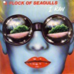 A-flock-of-seagulls-I-ran