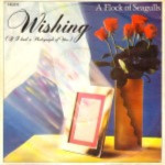 A-flock-of-seagulls-Wishing