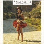 Amazulu-Too-good-to-be-forgotten