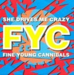 Fine-Young-Cannibals-She-drives-me-crazy