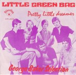 George-Baker-Selection-Little-green-bag