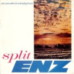 Split-Enz-Six-months-in-a-leaky-boat