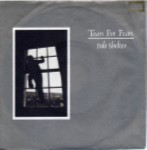 Tears-for-Fears-Pale-shelter